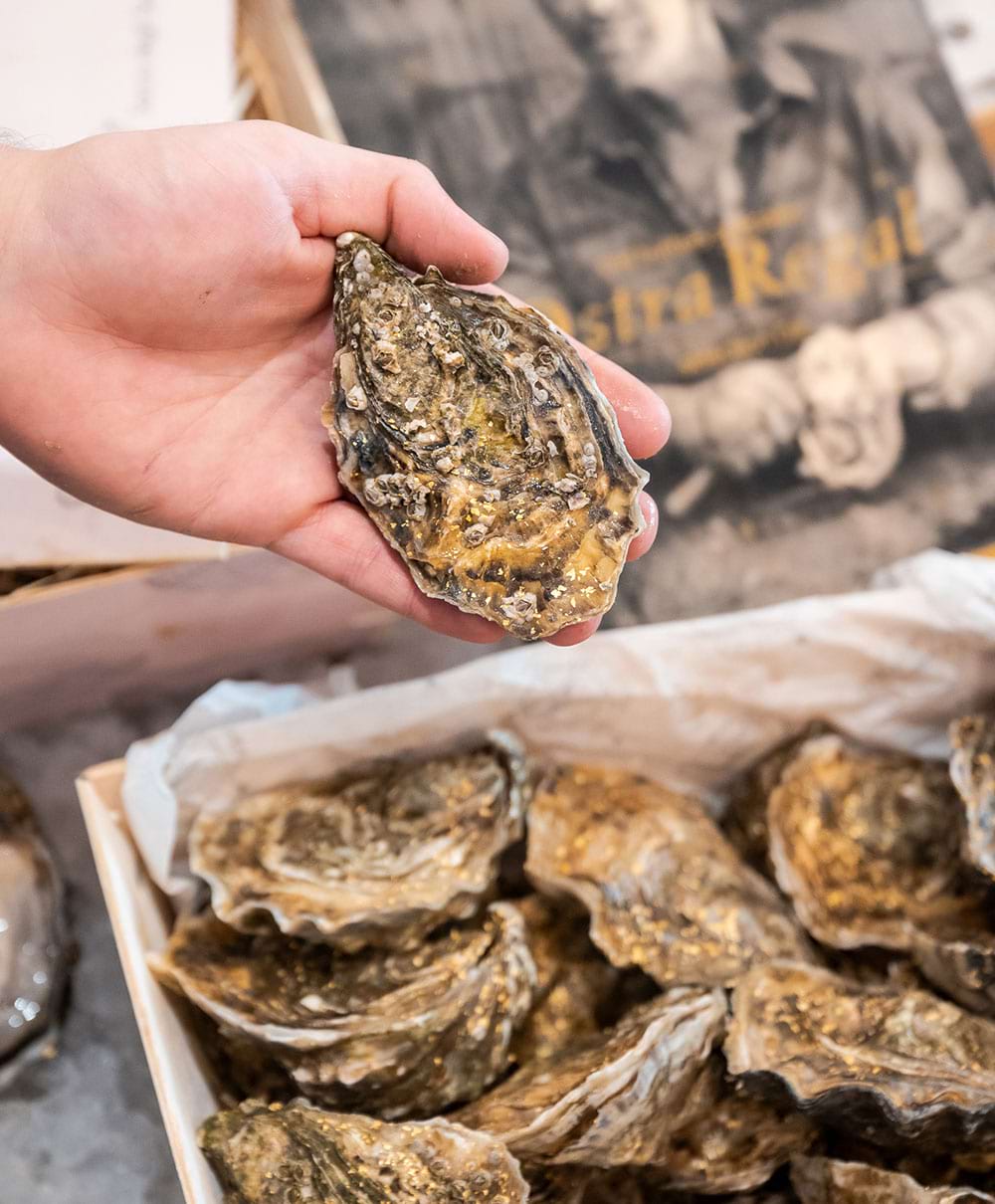 Vetrina del pescato con pesce fresco selezionato ogni giorno al ristorante Amarmio a Jesolo
