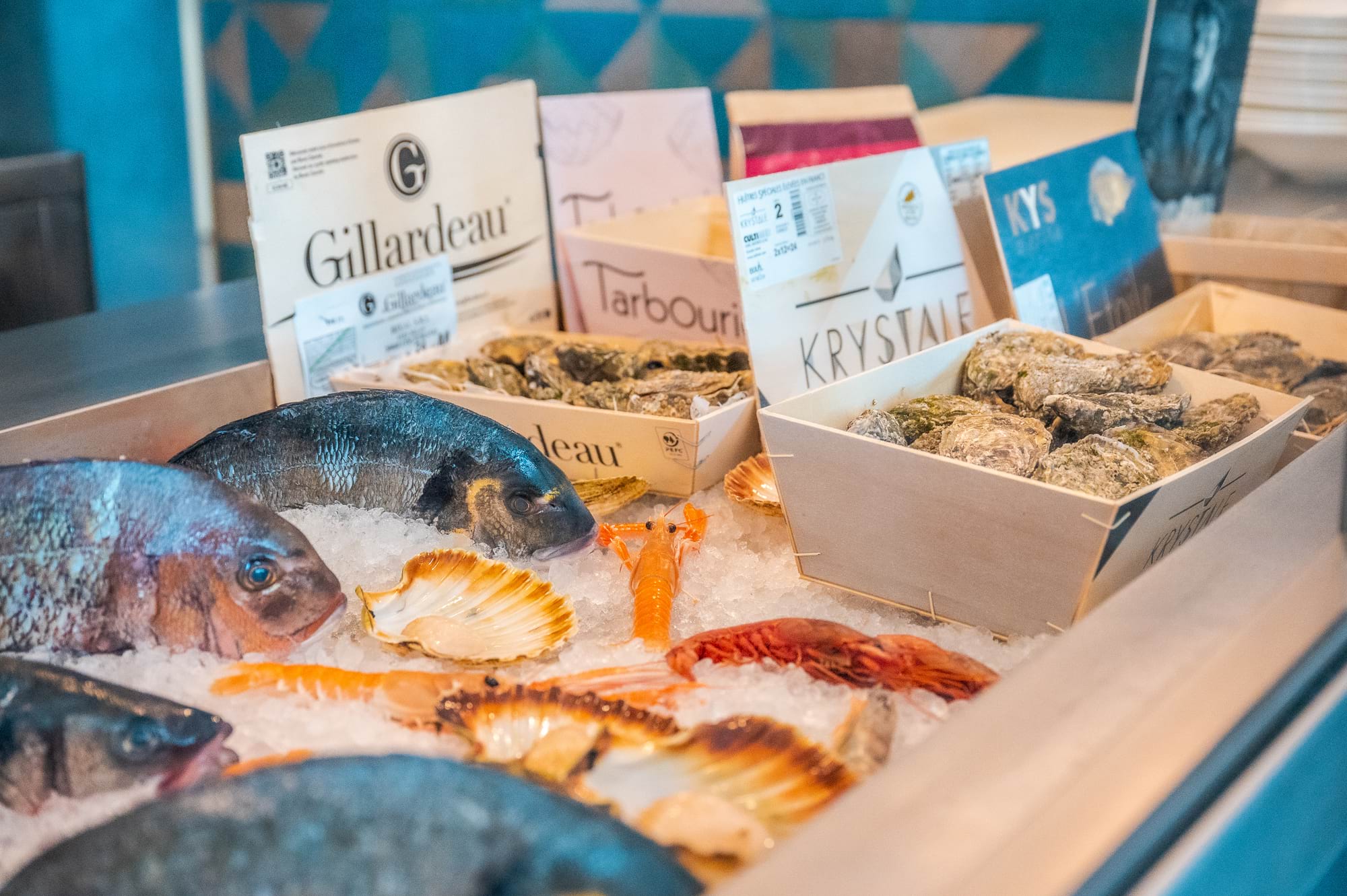 Piatto gourmet di pesce fresco preparato dallo chef di Amarmio Jesolo